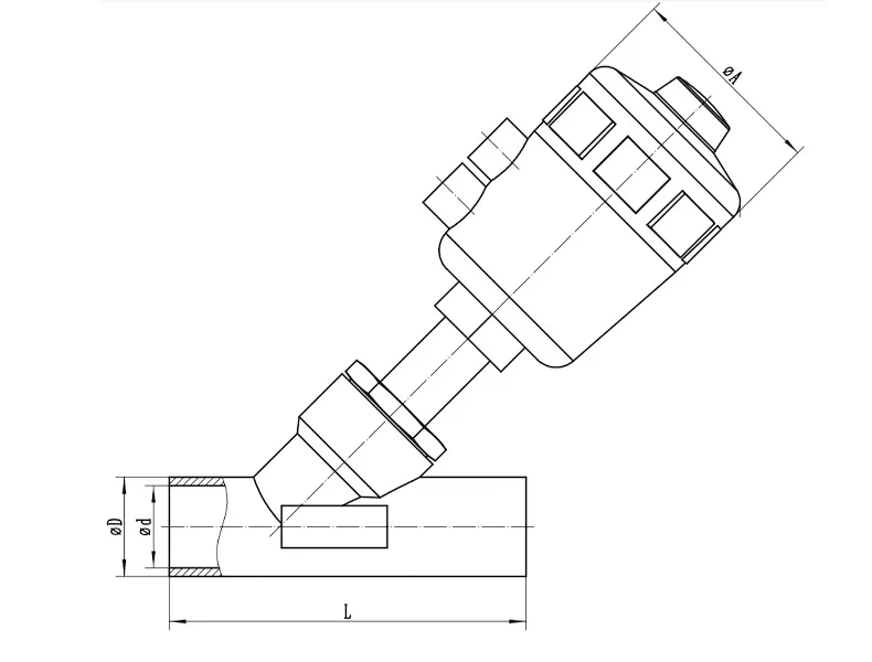 Diagraph for Sanitary Welded Angle Seat Valves